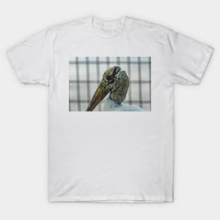 Wood stork T-Shirt